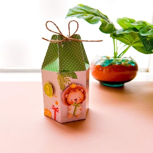 Caja sorpresa con diseño tierno 🦁 vista 1